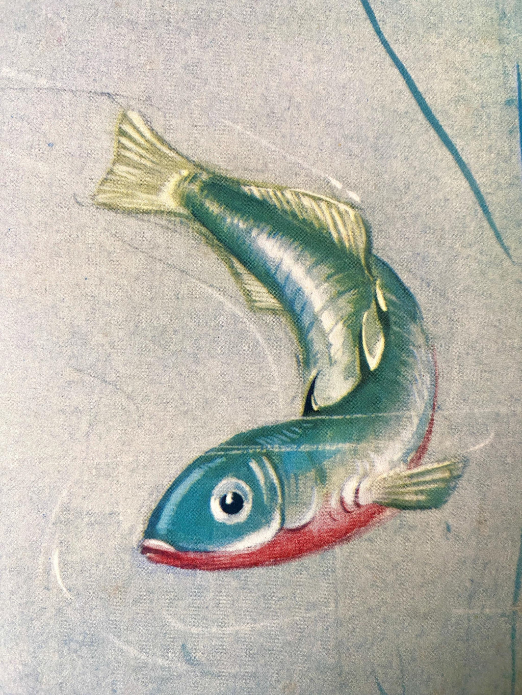 Illustration of a fish 