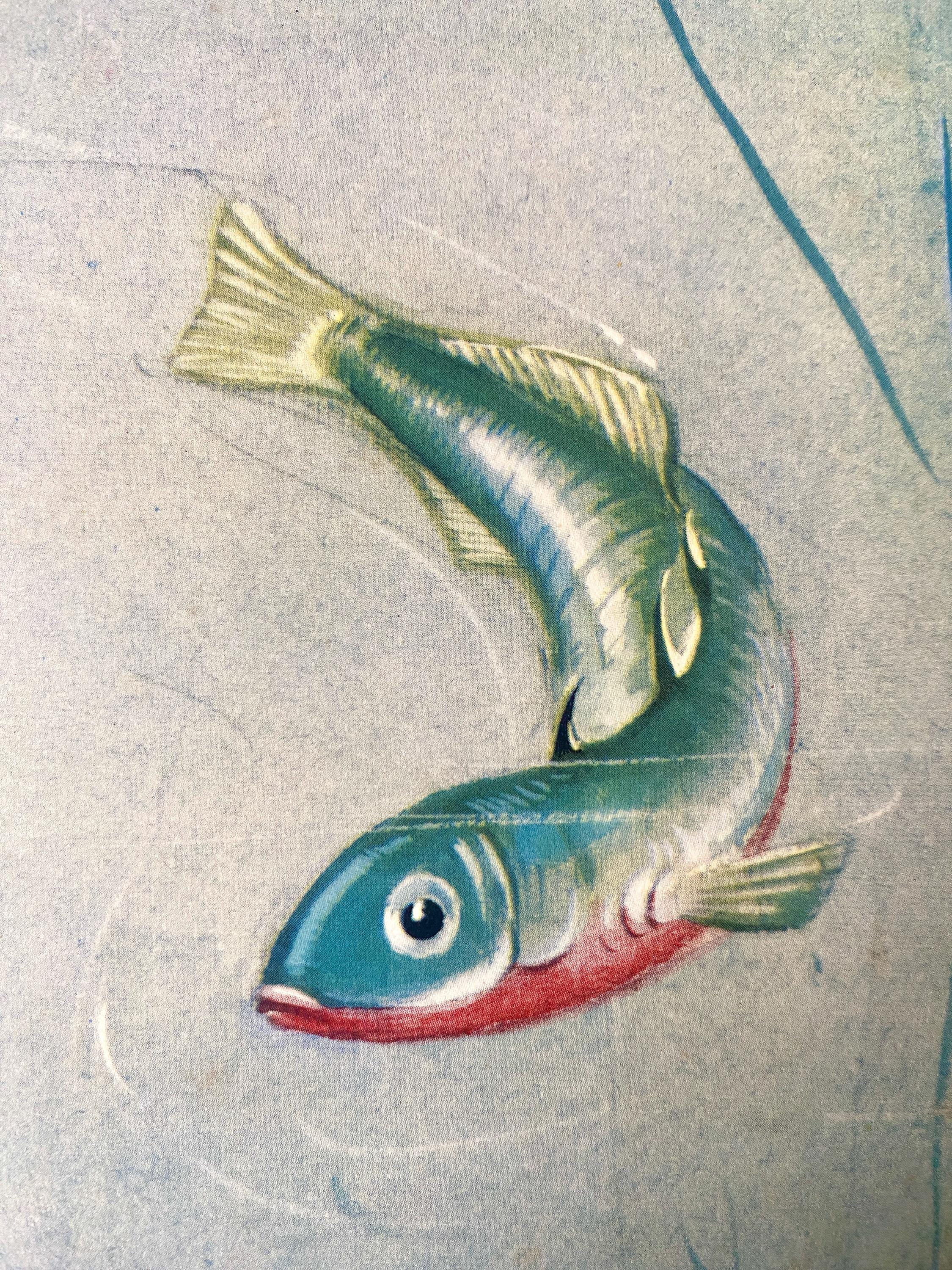 Illustration of a fish 