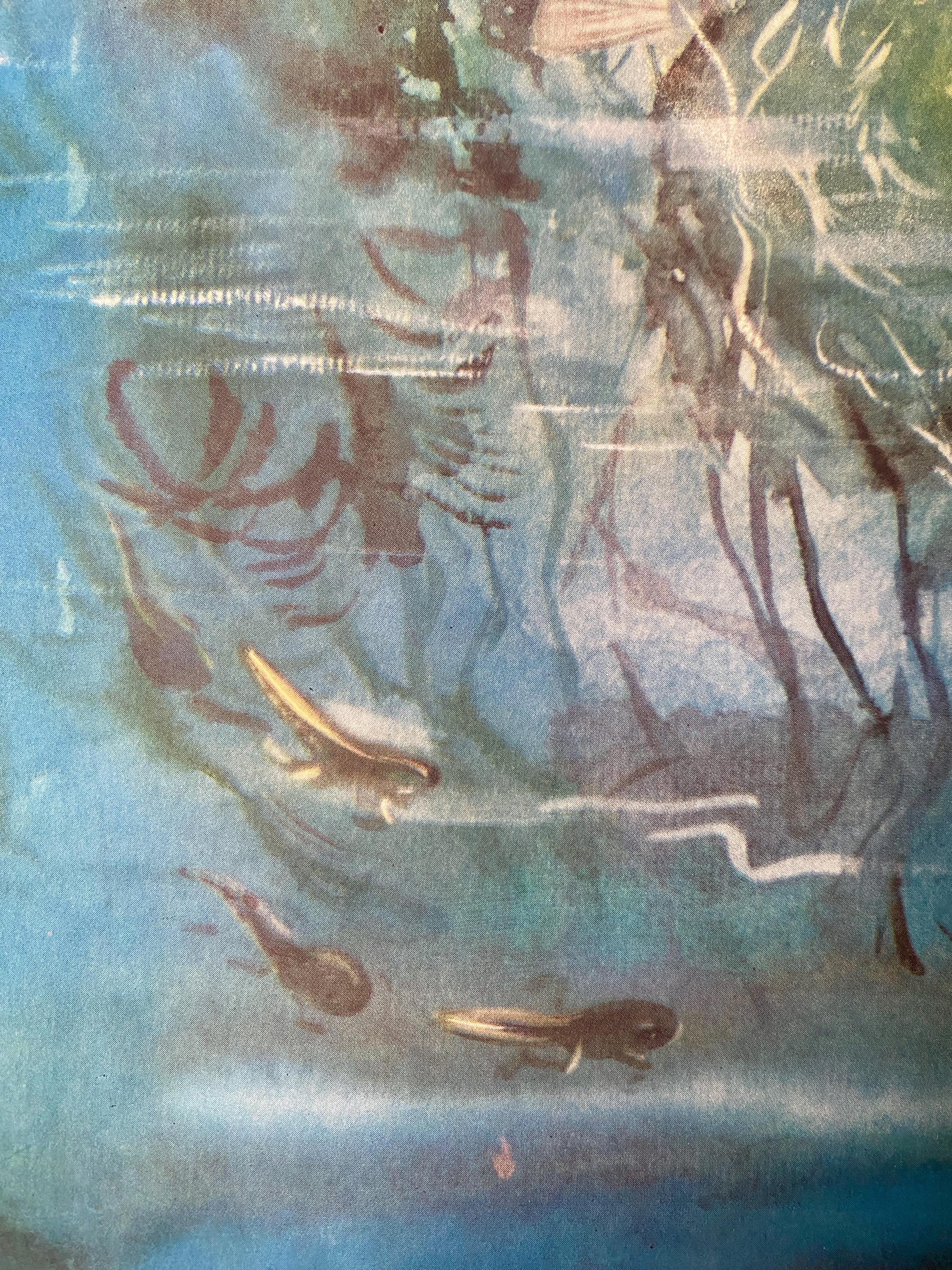 Mid Century Print 'The Fish That Built a Nest' by Eileen Soper