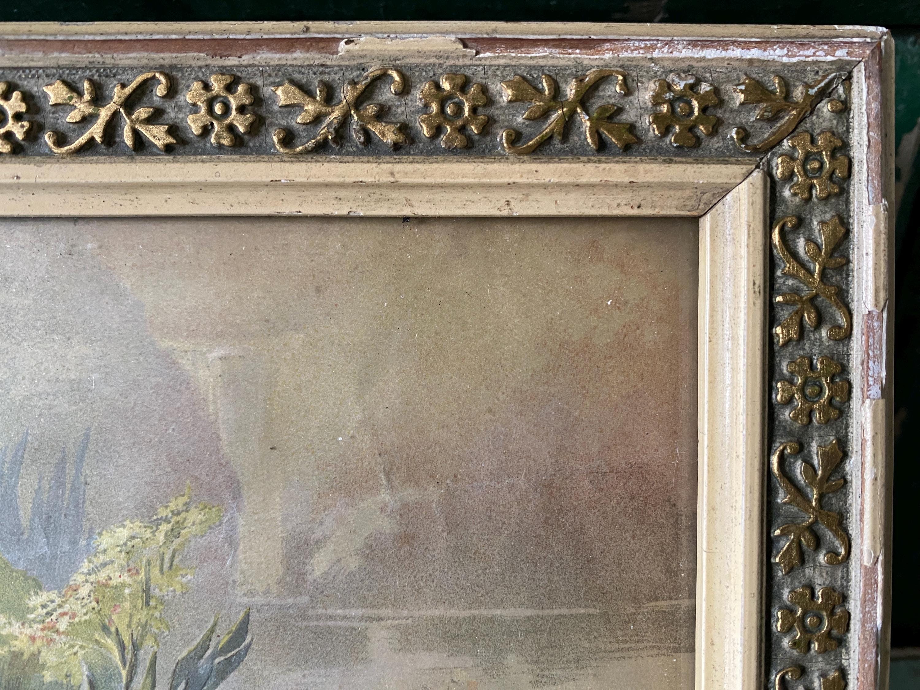 Framed Vintage Print of Water Lilies