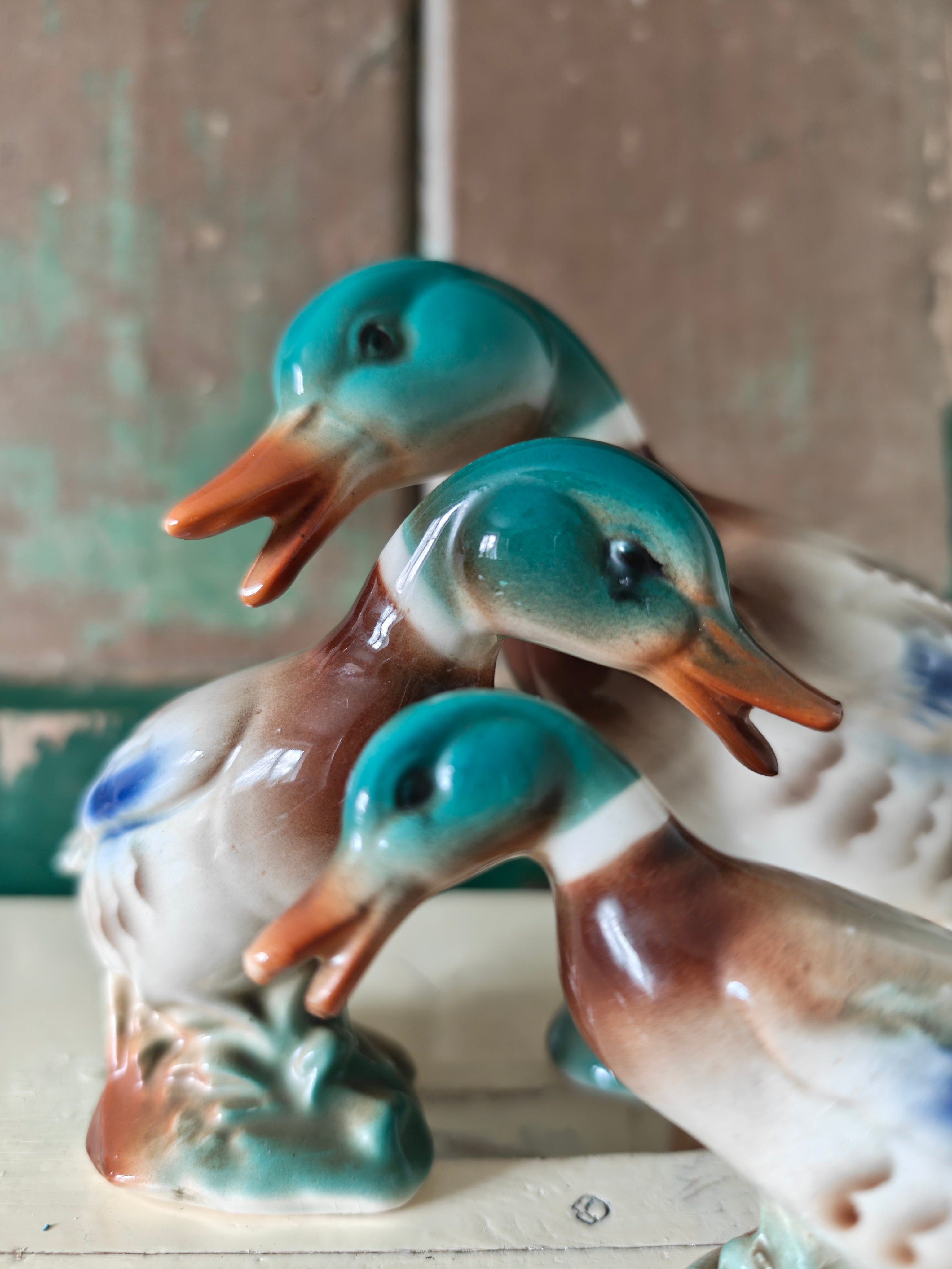 Royal Copley Mallard Duck Set