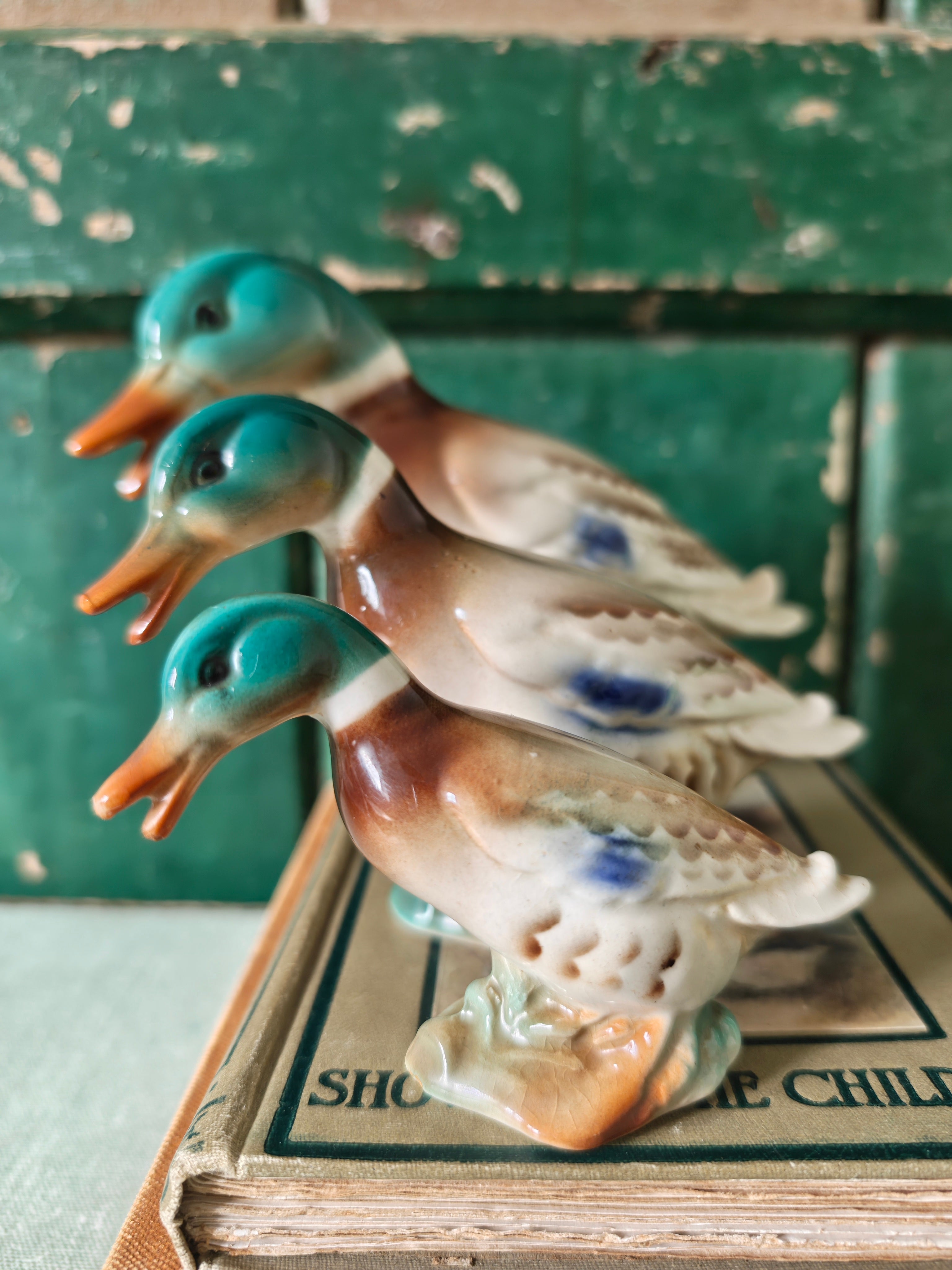 Royal Copley Mallard Duck Set