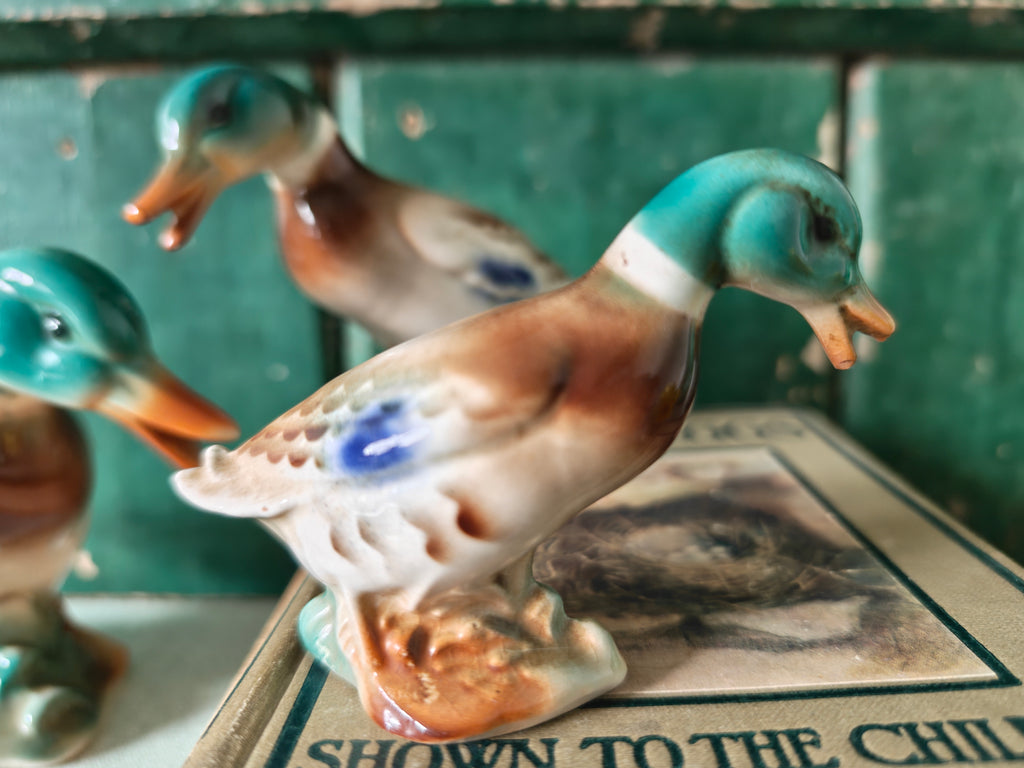 Royal Copley Mallard Duck Set