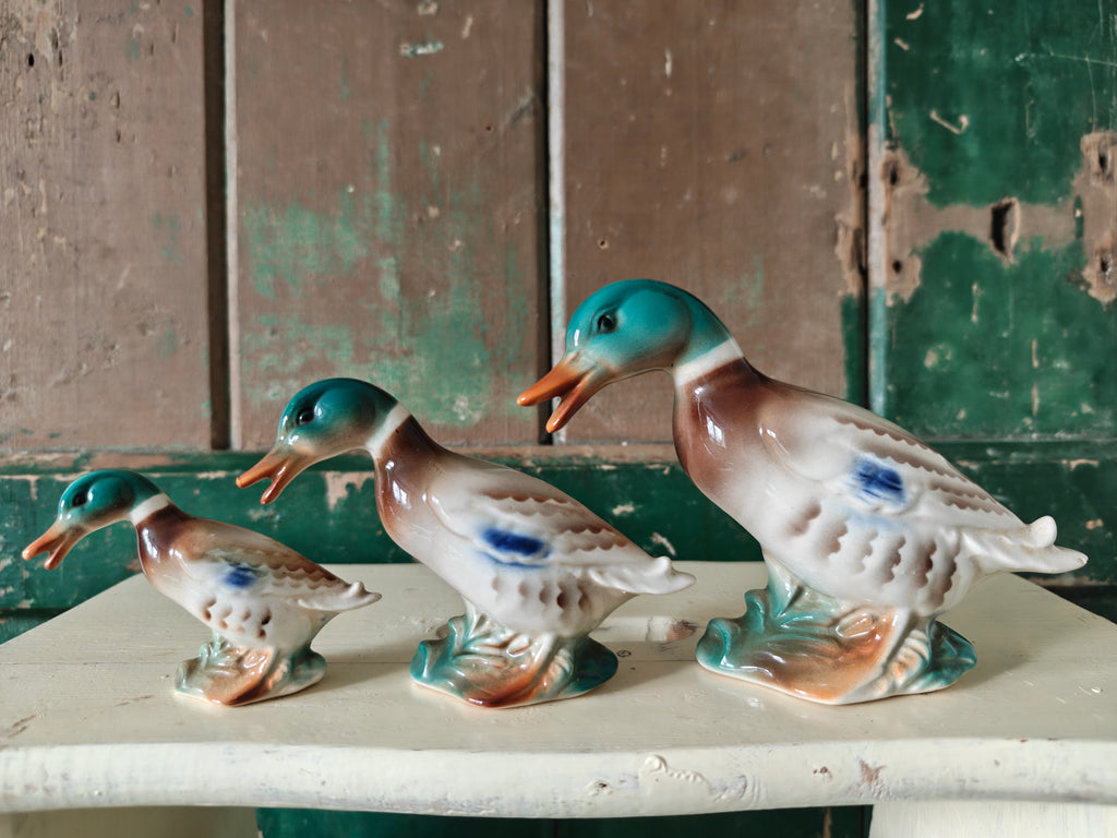 Royal Copley Mallard Duck Set