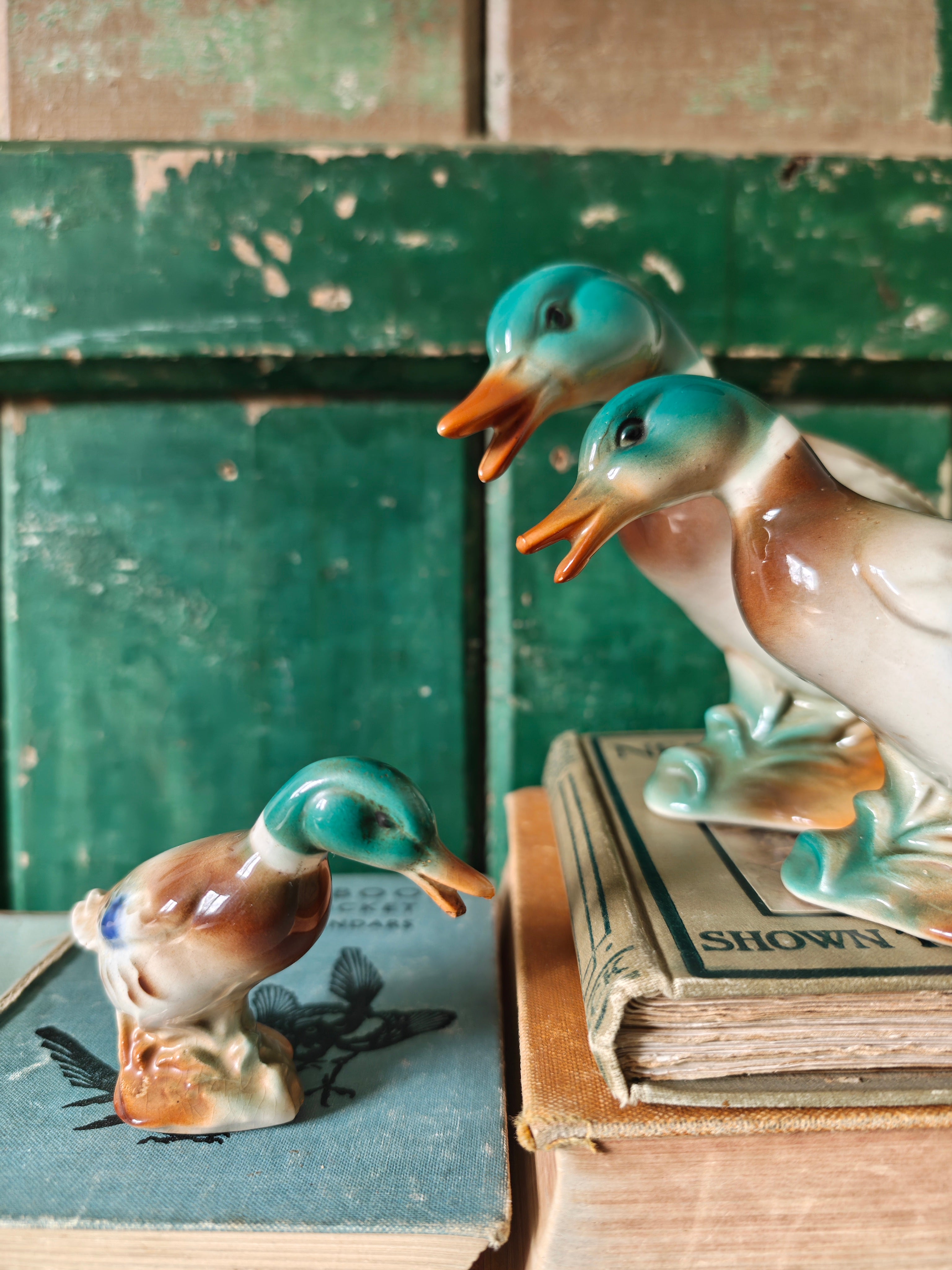 Royal Copley Mallard Duck Set
